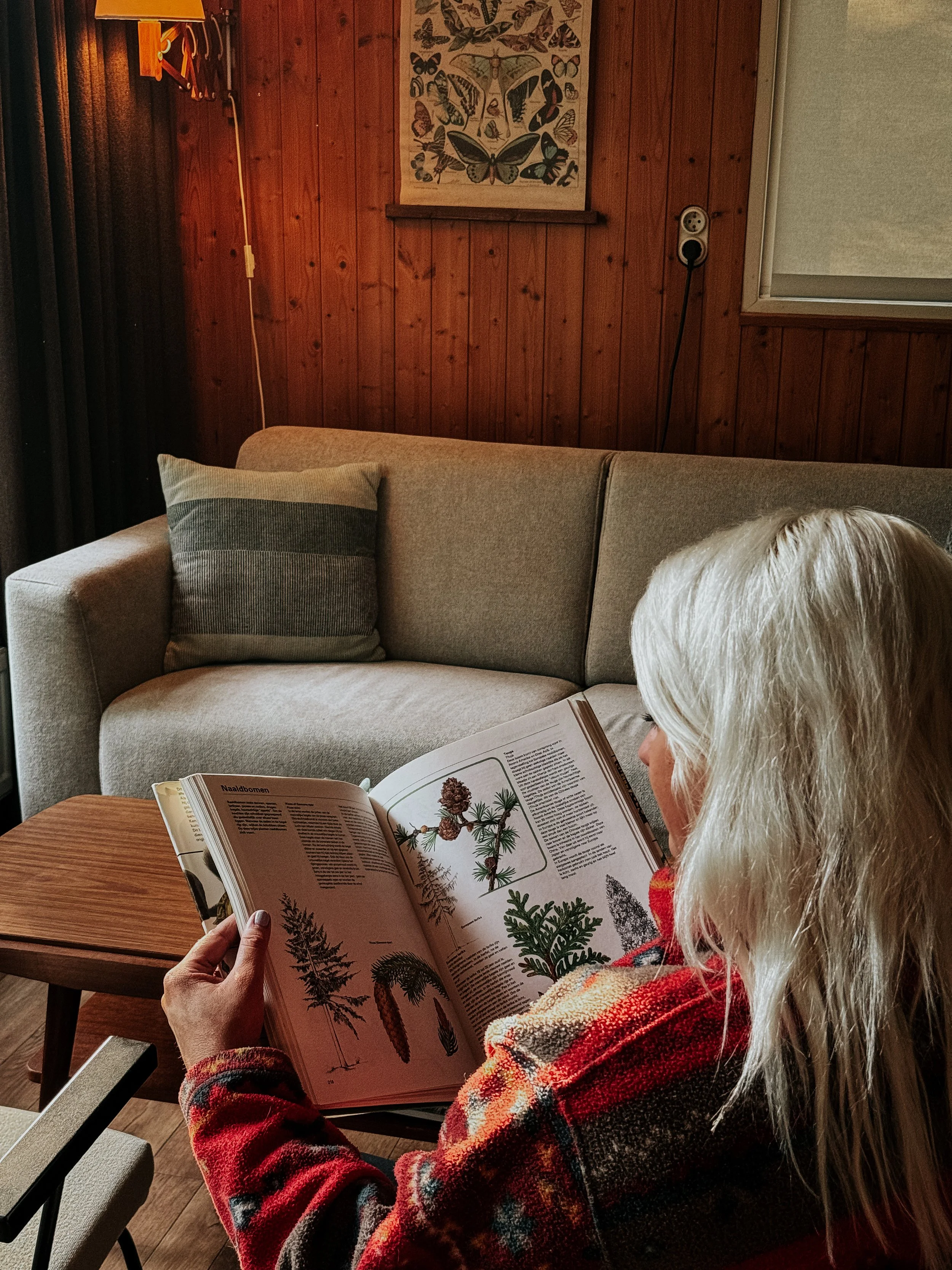 zomerdriehoek huren.JPG