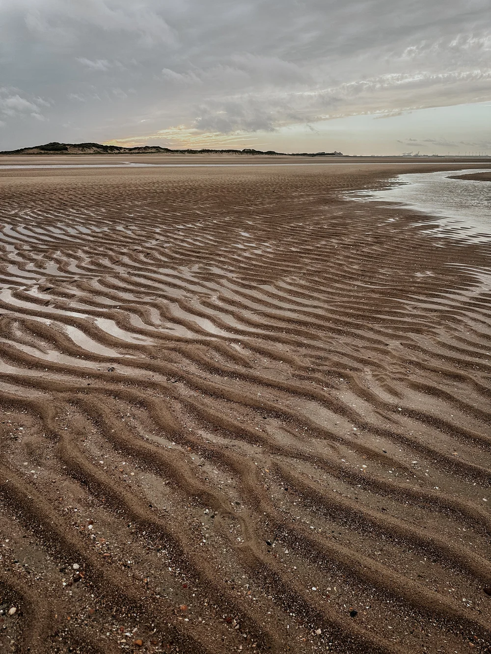 cadzand-strand.JPG