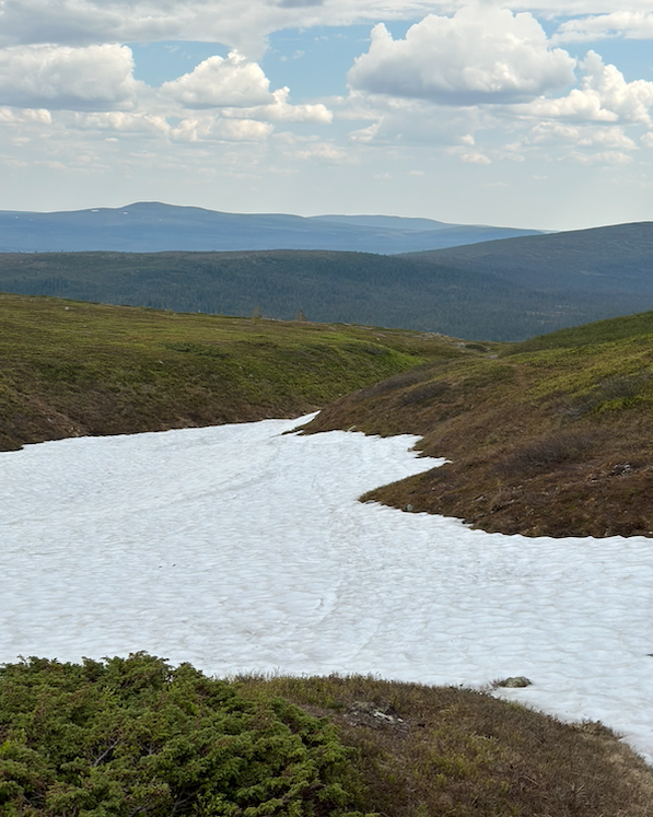 sneeuw-nipfjallet.png