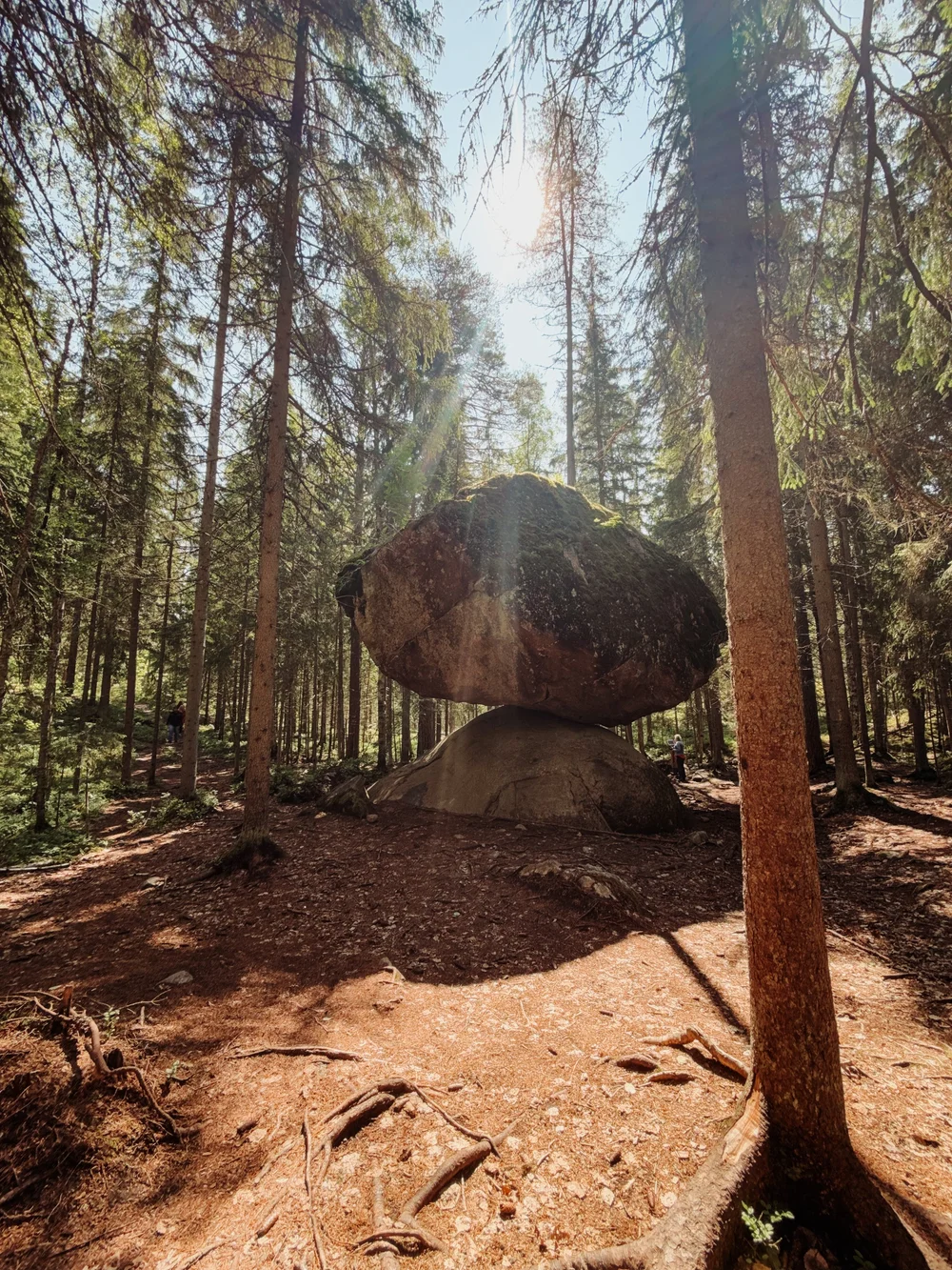 zuid-finland-voigt.JPG