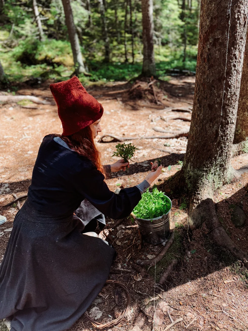 voigt-zuid-finland.JPG