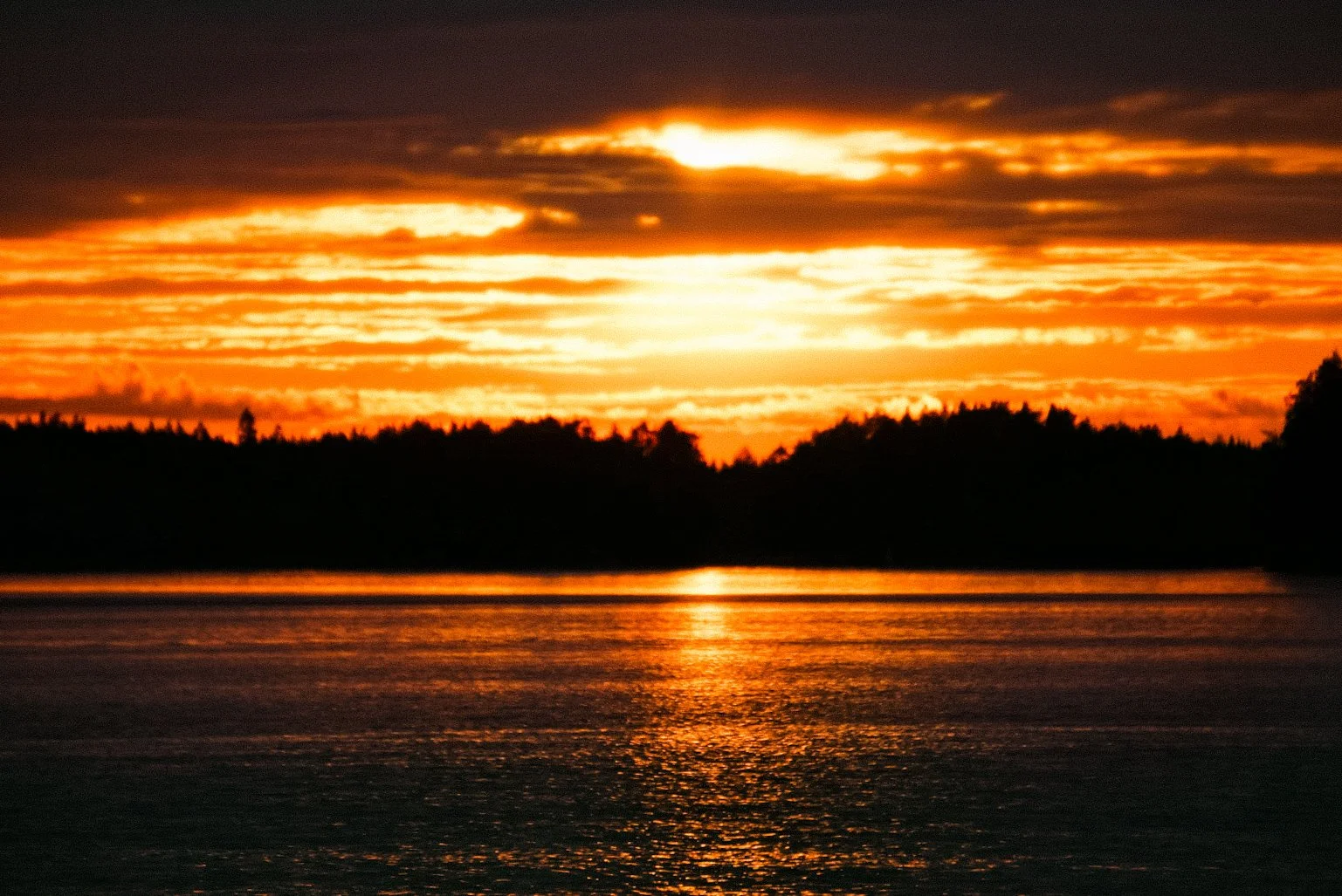 sunset-seal-safari-saimaa.JPG