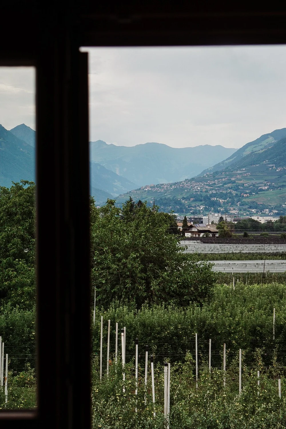 im-tiefenbrunn-view.JPG