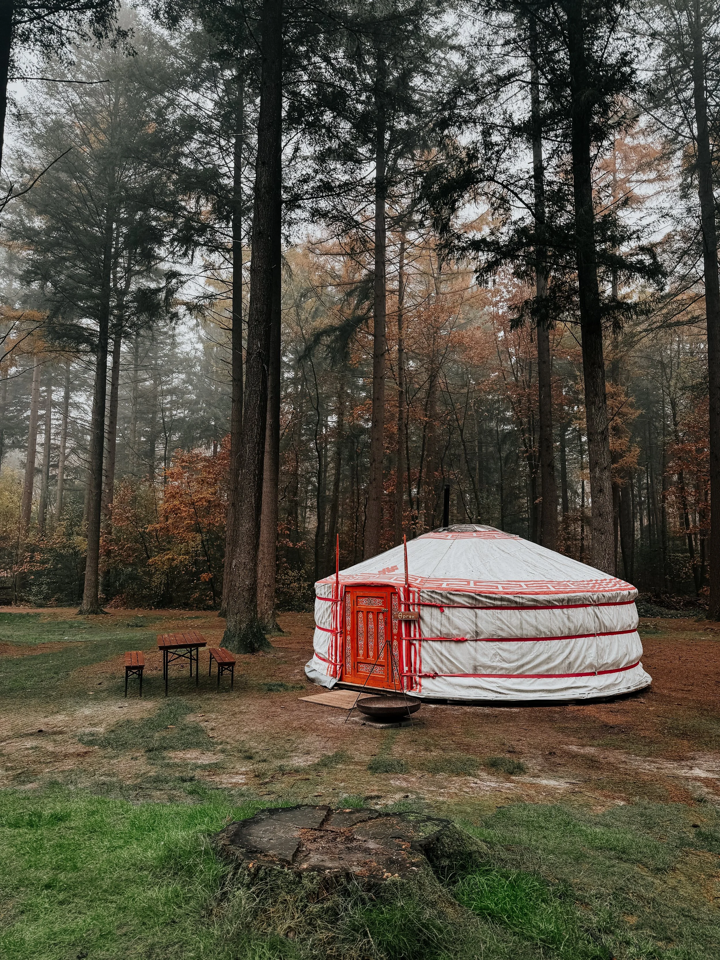 yurts-van-winterwoods.JPG