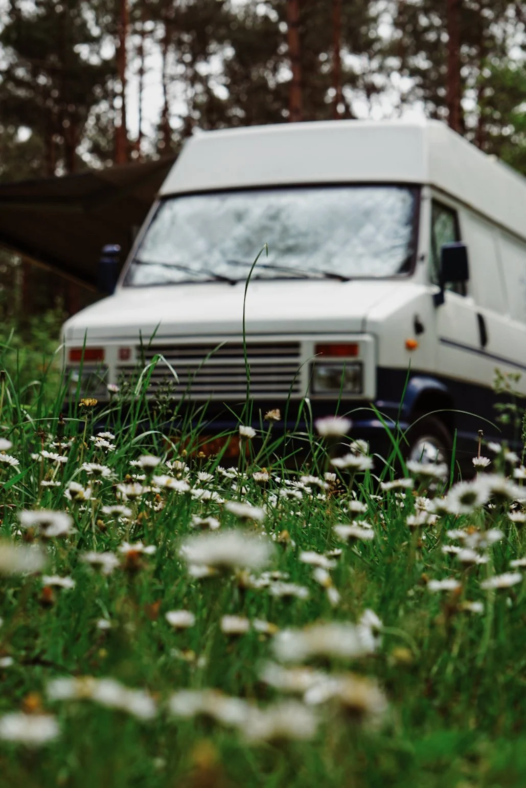 De mooiste natuurcampings en vakantieparken in Nederland