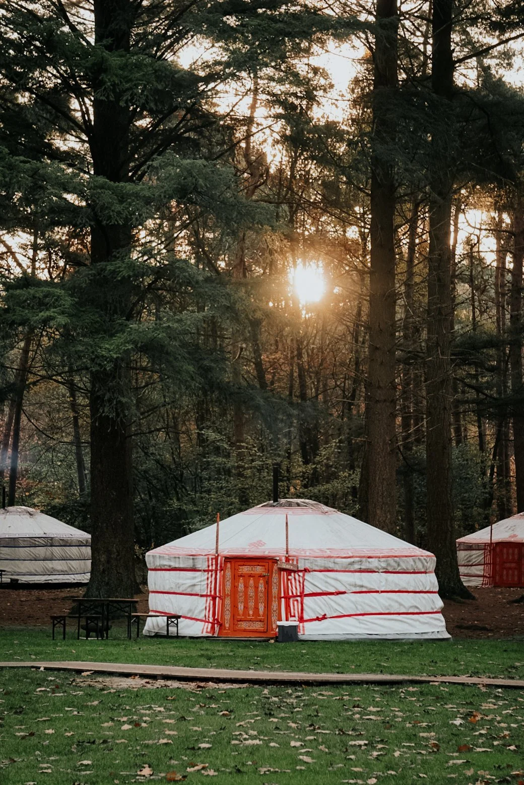 slapen-yurt-travelbase-winterwoods.JPG