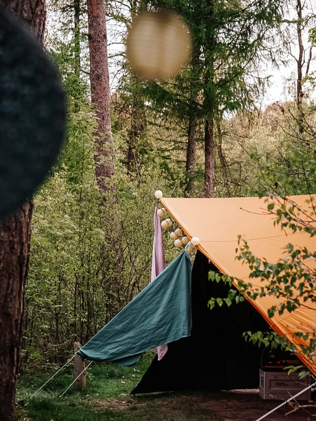 Camp vibes bij een van mijn lievelings @natuurkampeerterreinen: de Zanderdennen op de Veluwe 🦌 💚🌙 Love de lente, love kamperen en love kamperen in de lente n&oacute;g meer! 

#campvibes #natuurkampeerterrein #camplife #intothewild #veluwe