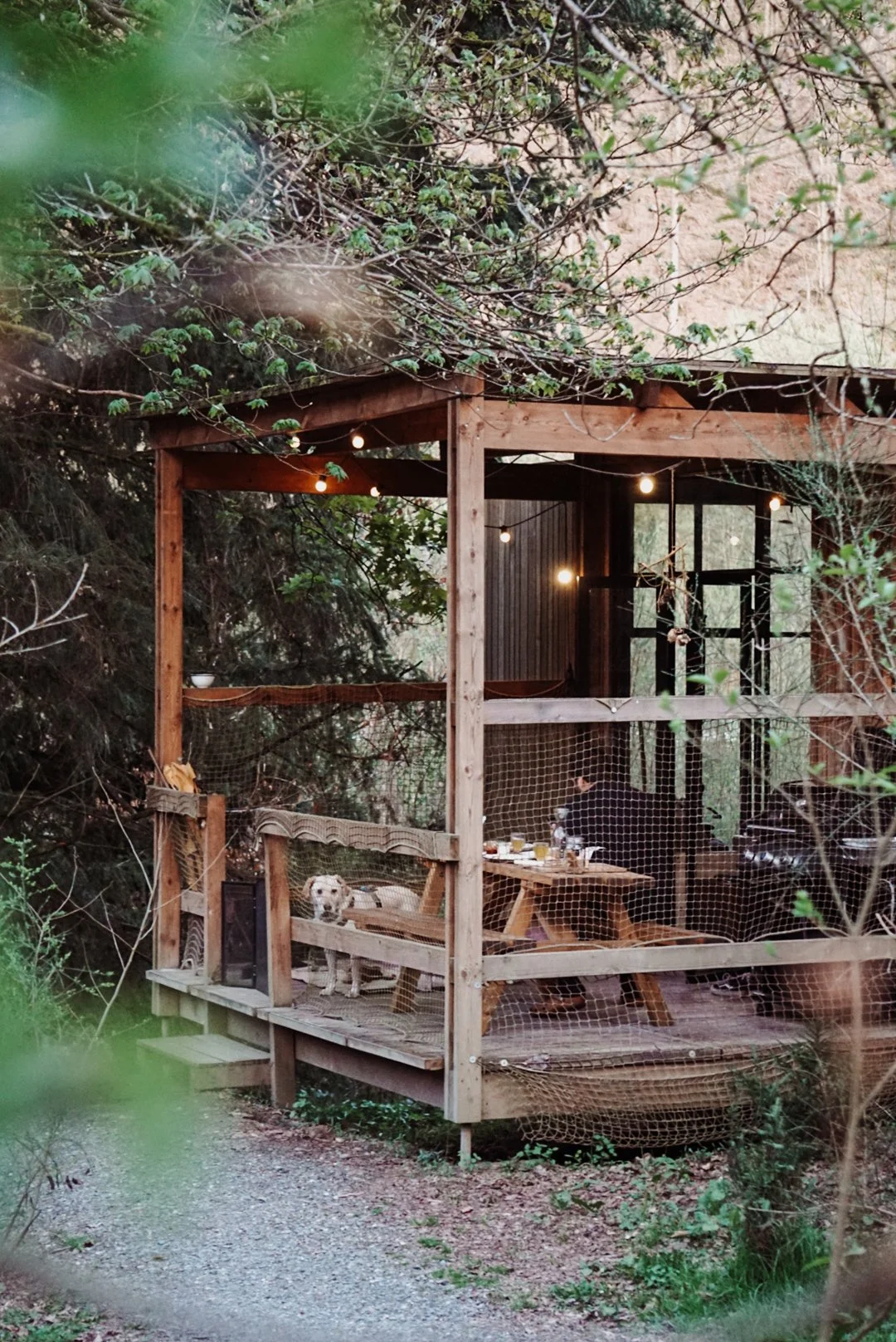 nutchel-cosy-cabin-dogproof.JPG