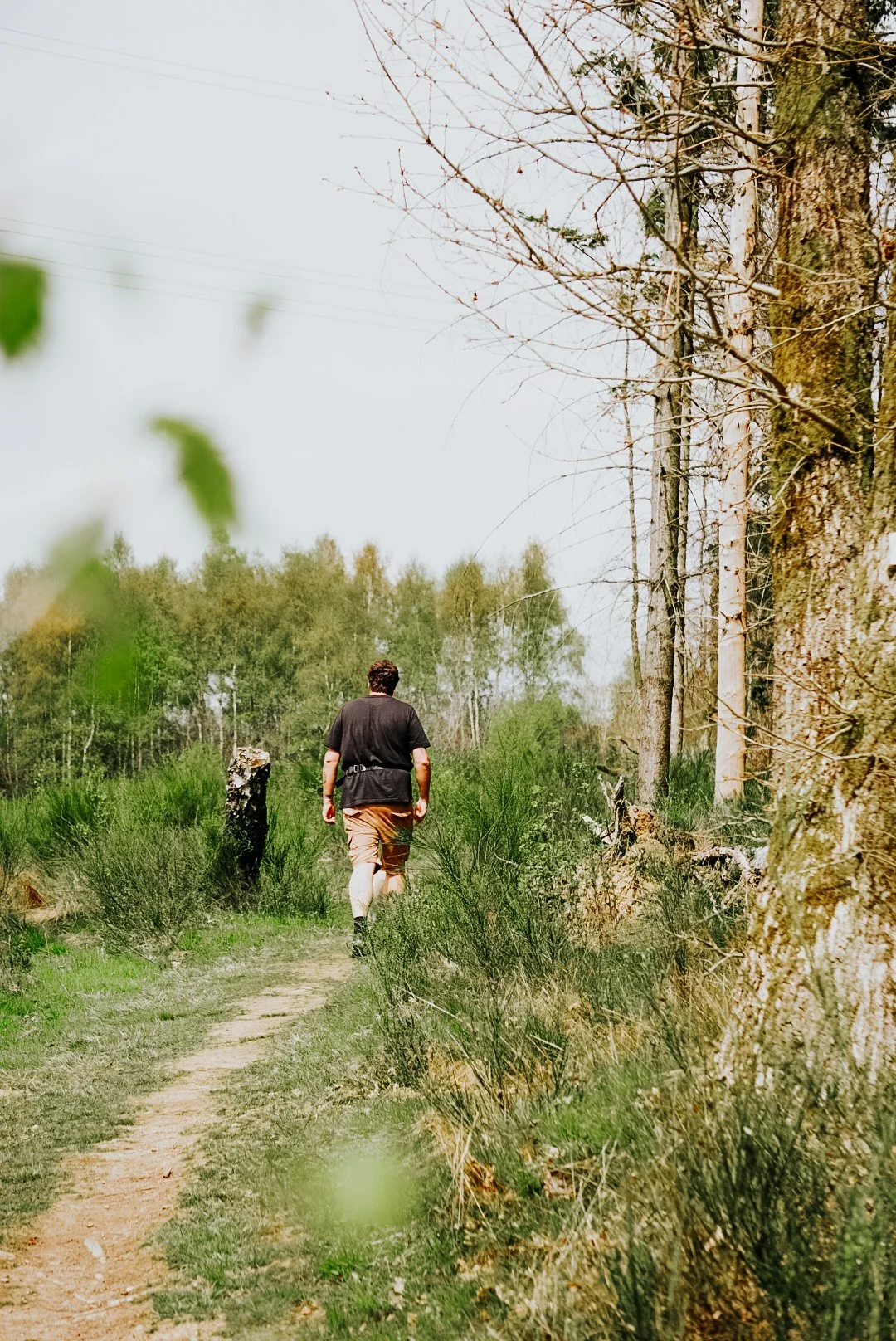 nutchel-ardennes-wandelen.JPG