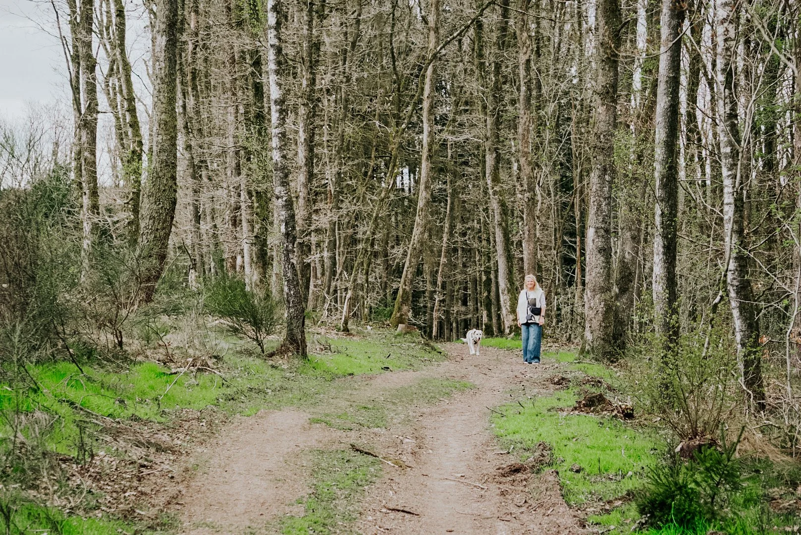 wandelen-nutchel-routes.JPG