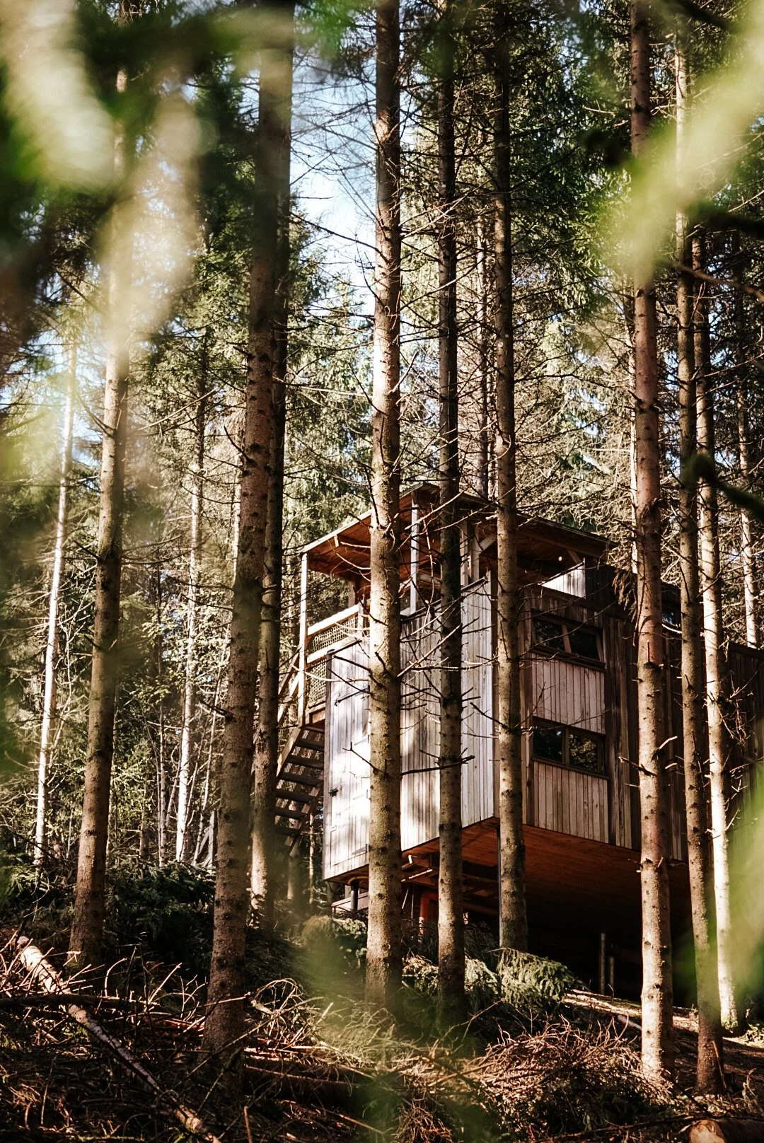 nutchel-locatie-bos.JPG