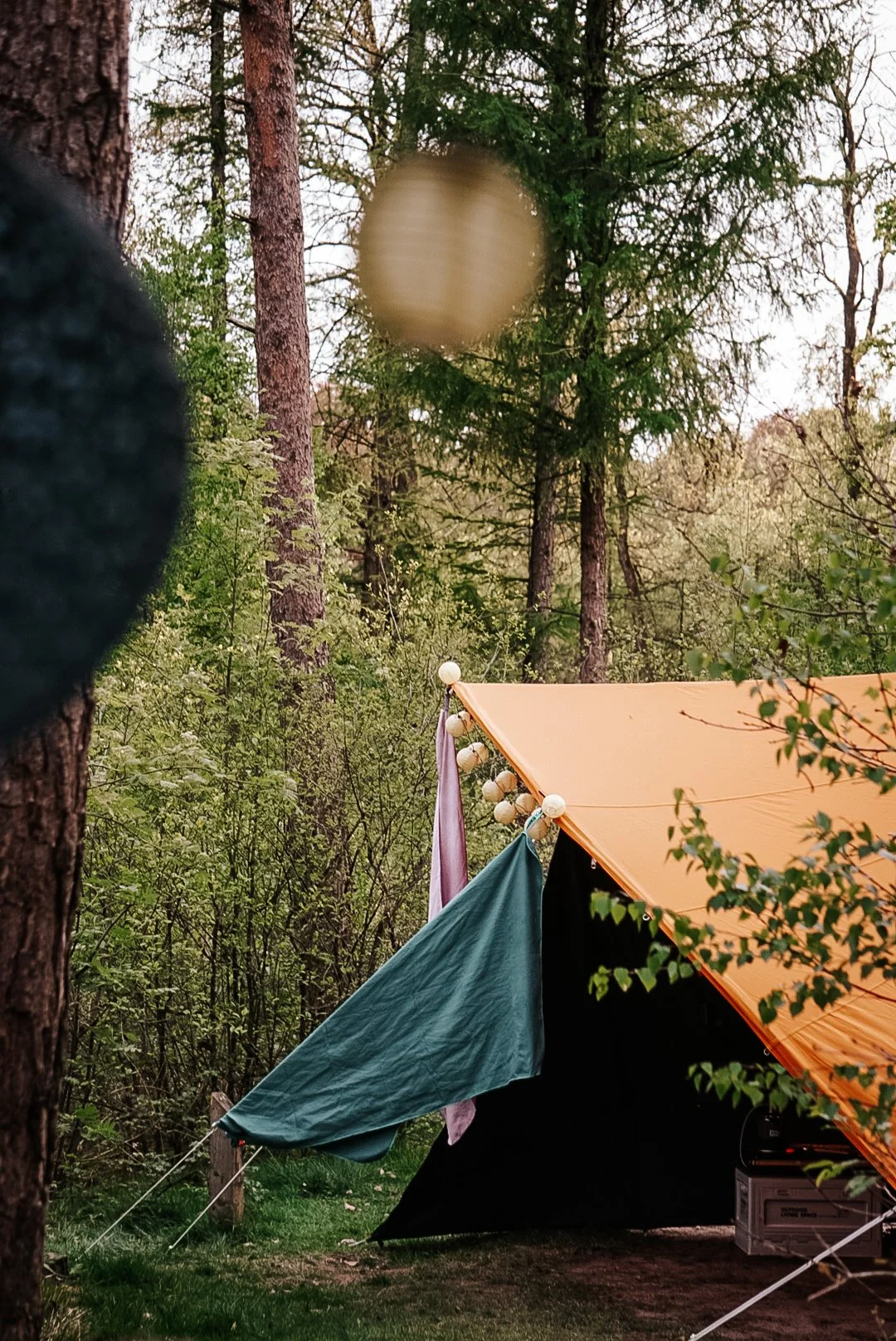 Hoe kies je een camping die echt bij je past? | Tips en tricks voor iedere kampeerder