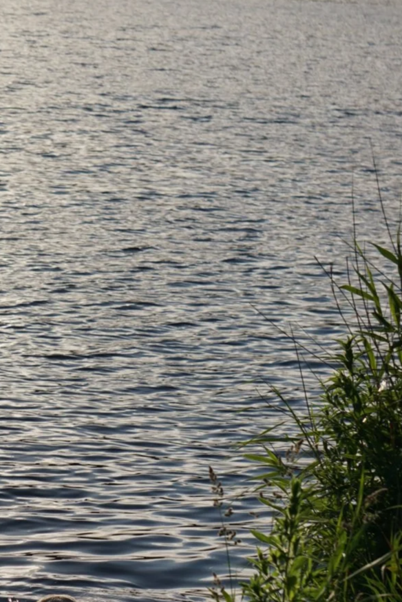 zwemmen-amsterdamse-bos.JPG