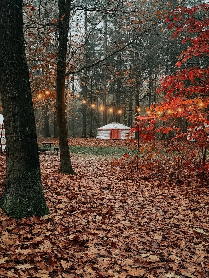 winterwoods-travelbase-herfst.jpg