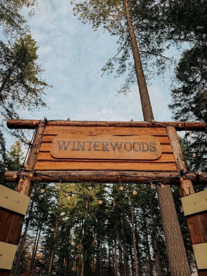 winterwoods-boeken.jpg