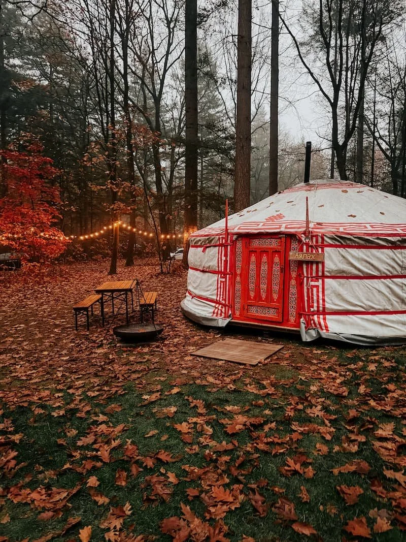 winterwoods-slapen-yurt.jpg