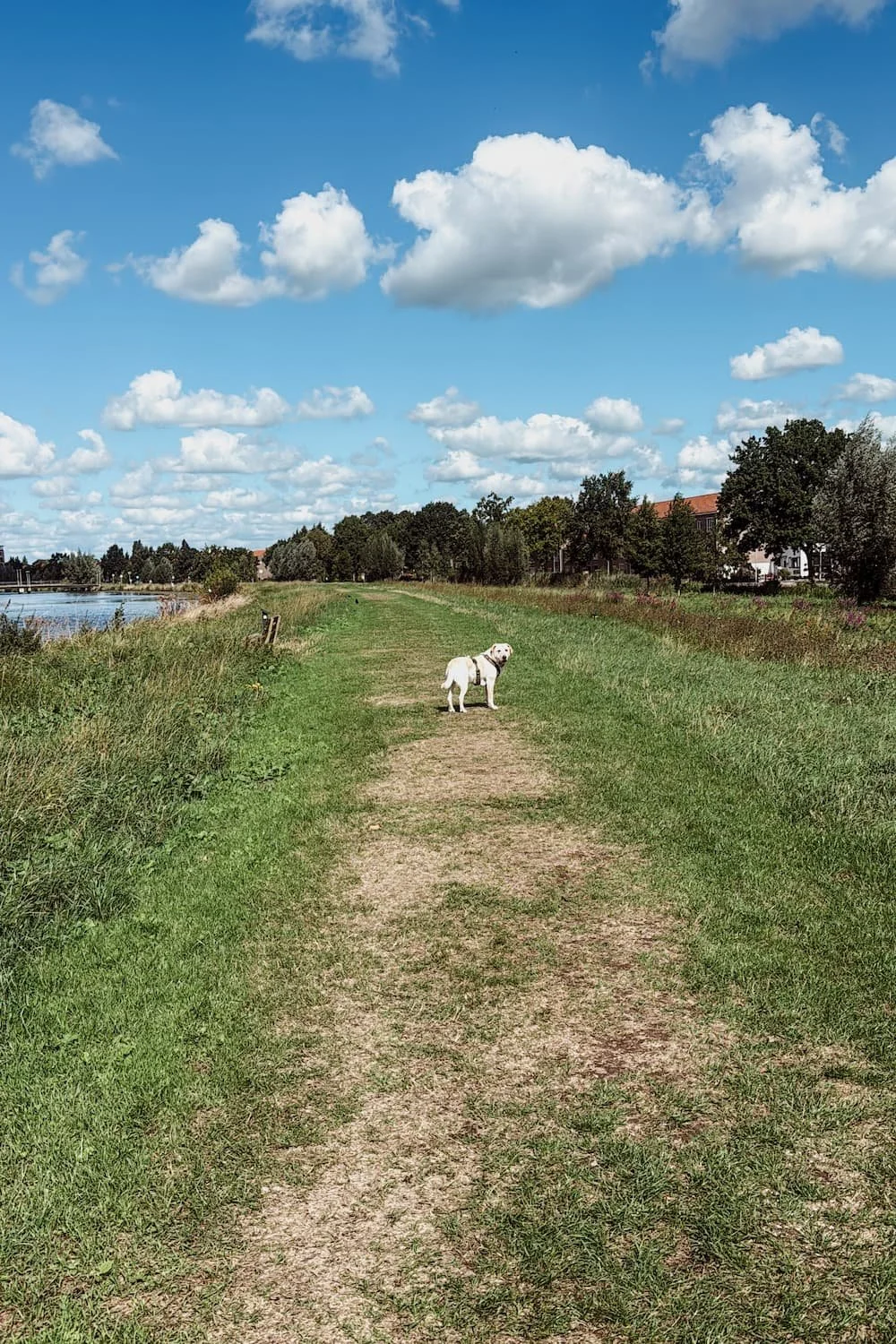 tips-meer-naar-buiten.jpg