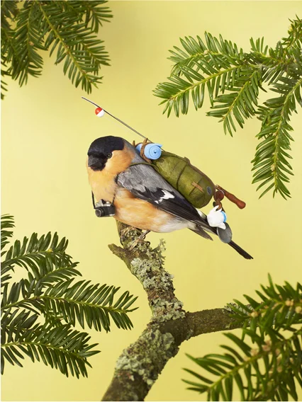 Travelling Birds | Miniature props | Photography by Luke Albert