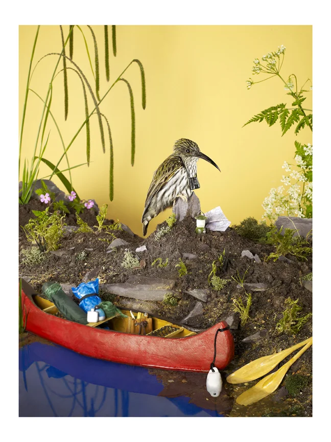 Bird - Canoe.jpg