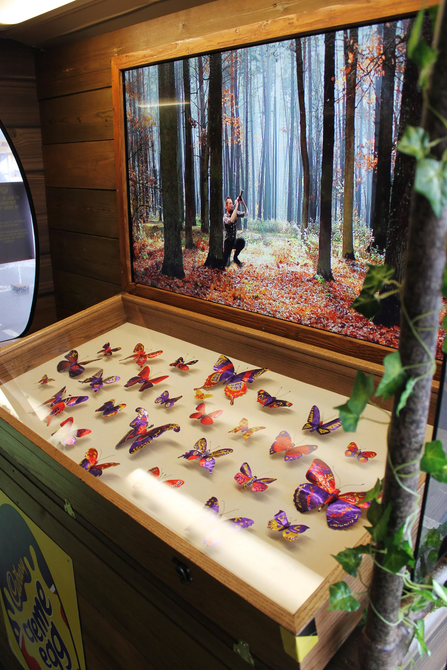 Cadbury Creme Egg Butterfly Display