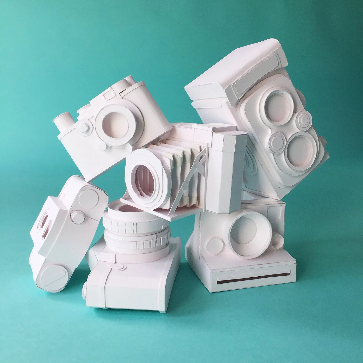 Natural History Museum | Paper Vintage Cameras