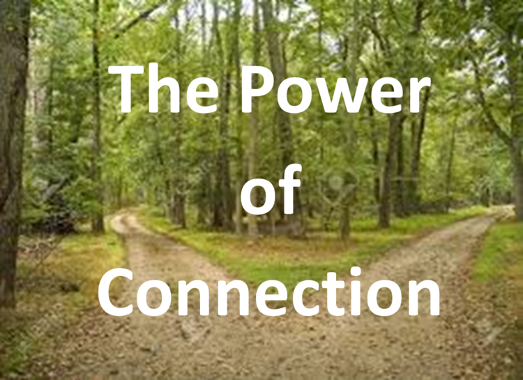 The Power of Connection
