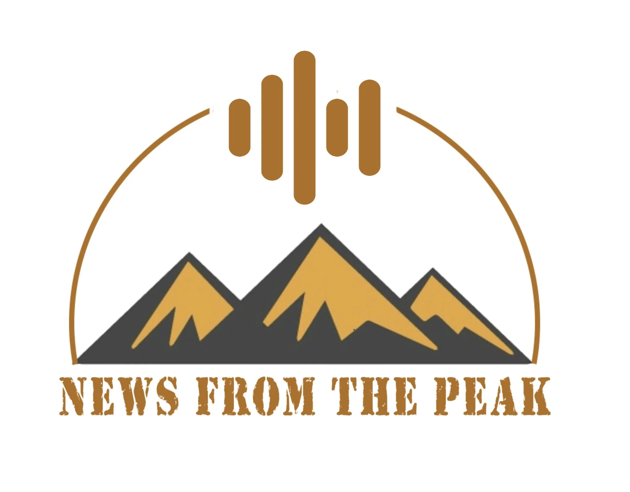 Podcast Episode - Executive Coaching with Liz Bullard and Puni Kalra