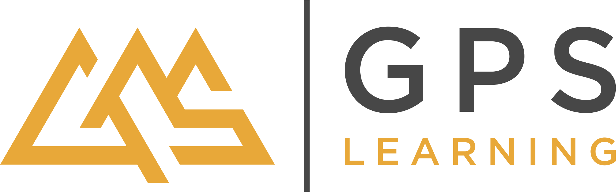 Podcast Episode - Introducing The Leadership Pulse
