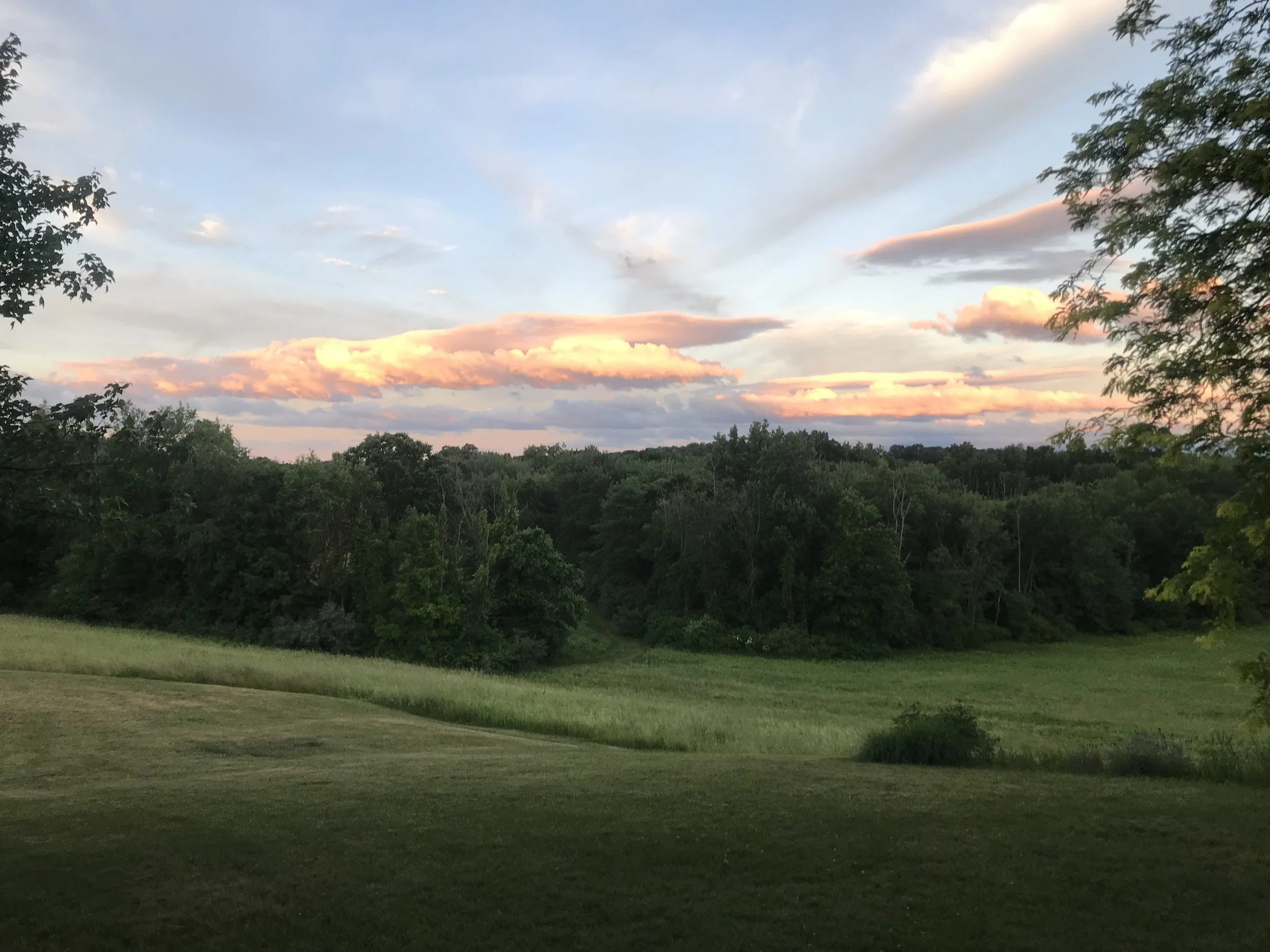 IMG_1136.jpeg