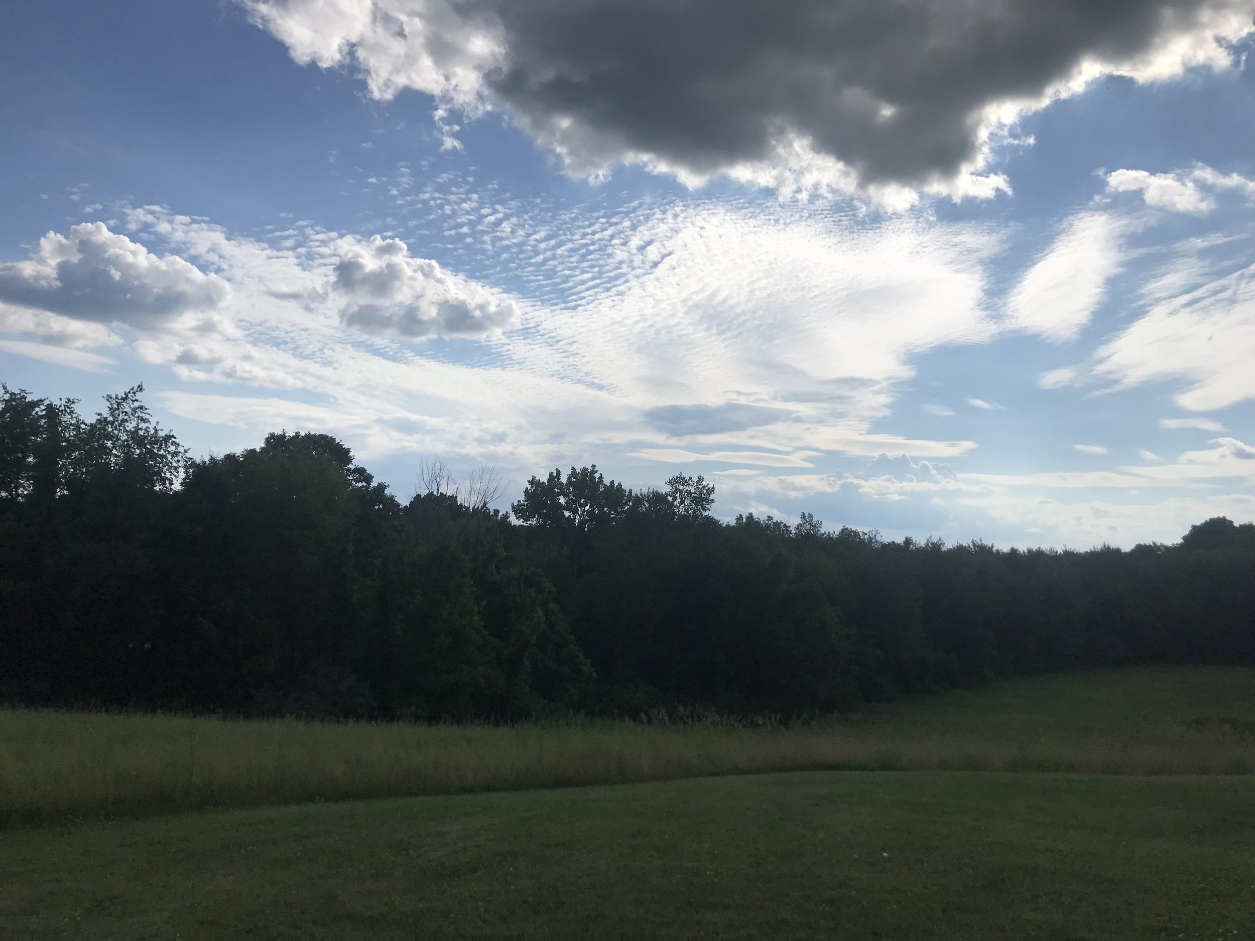 IMG_1278.jpeg