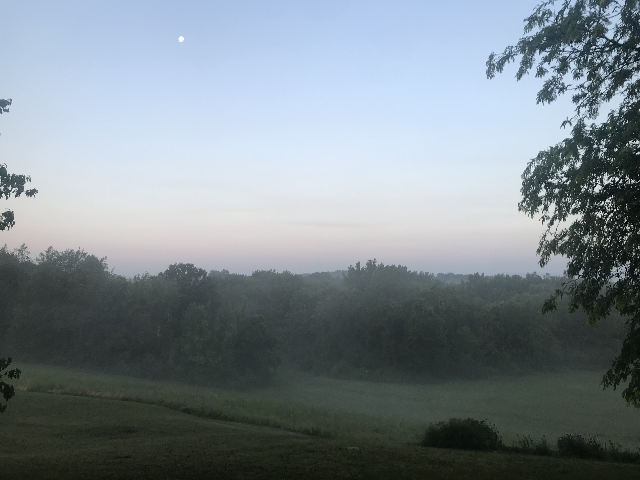 IMG_1361.jpeg