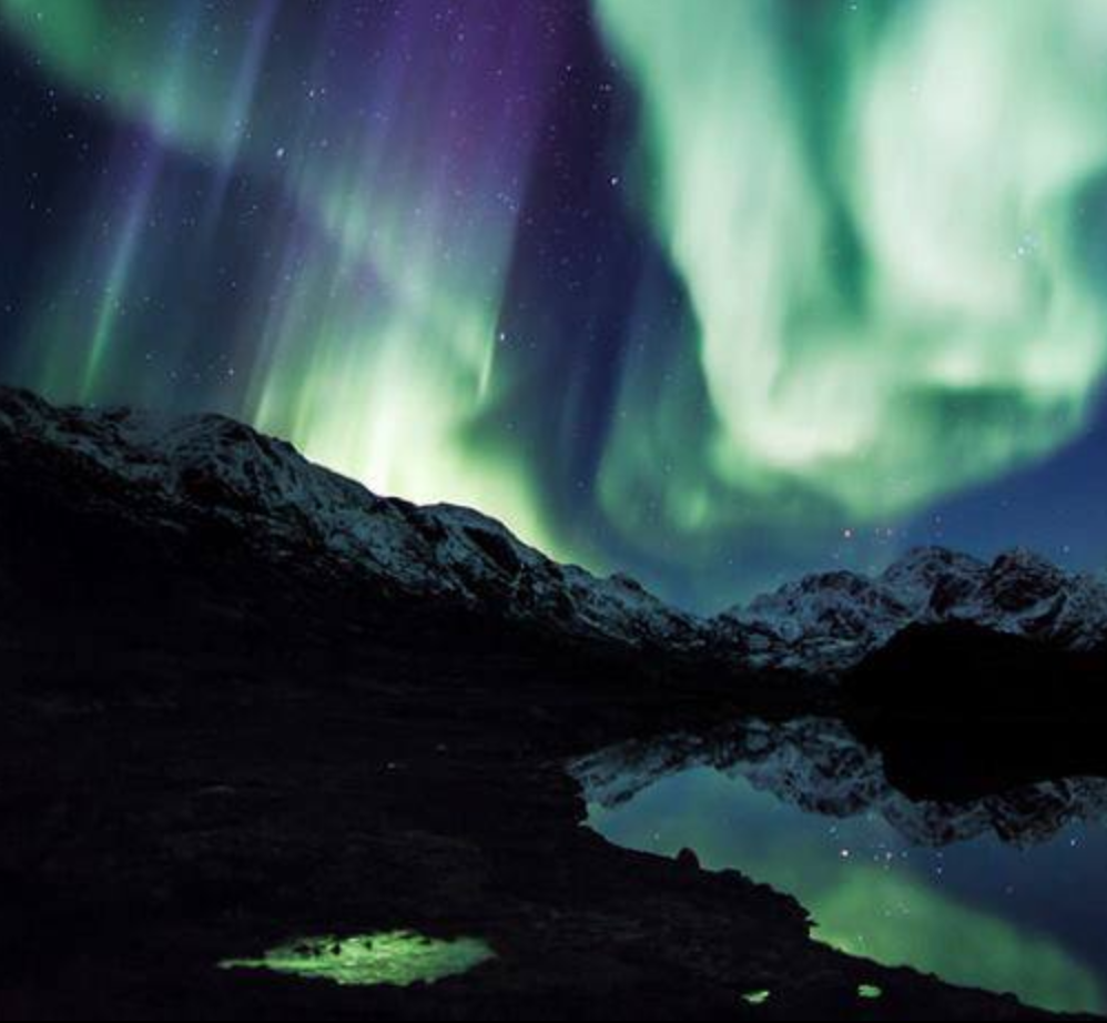 MedSoc Winter Ball - Northern Lights