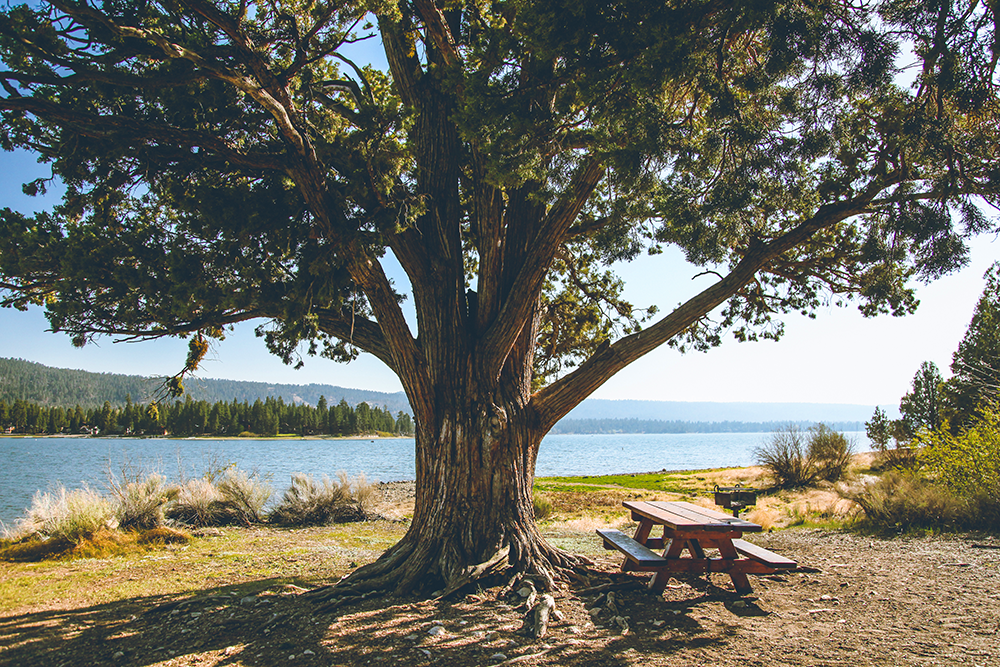 1_Big-Bear-Lake-X1b.png