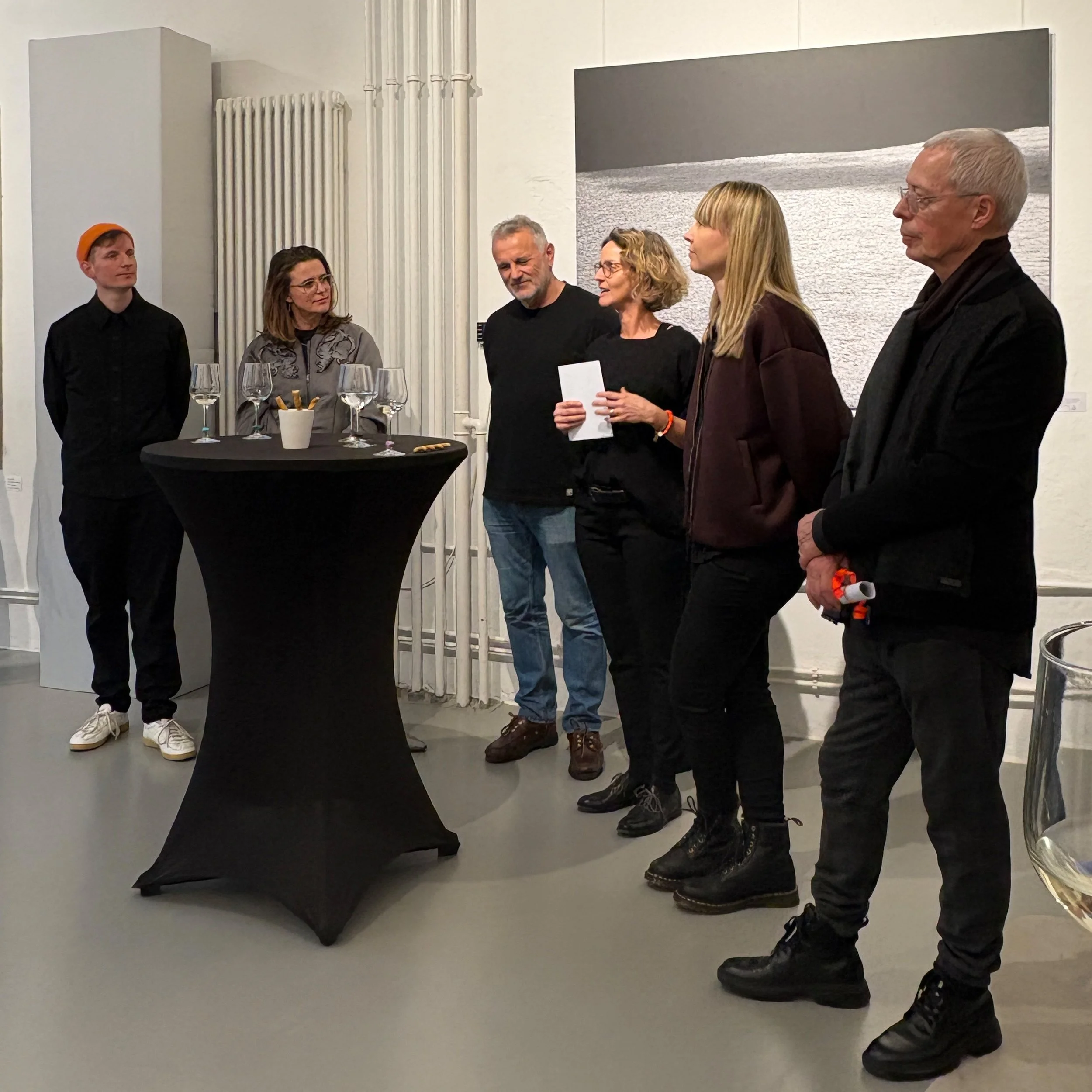 Exhibition ESNZ Mareike Böhmer 3.jpg