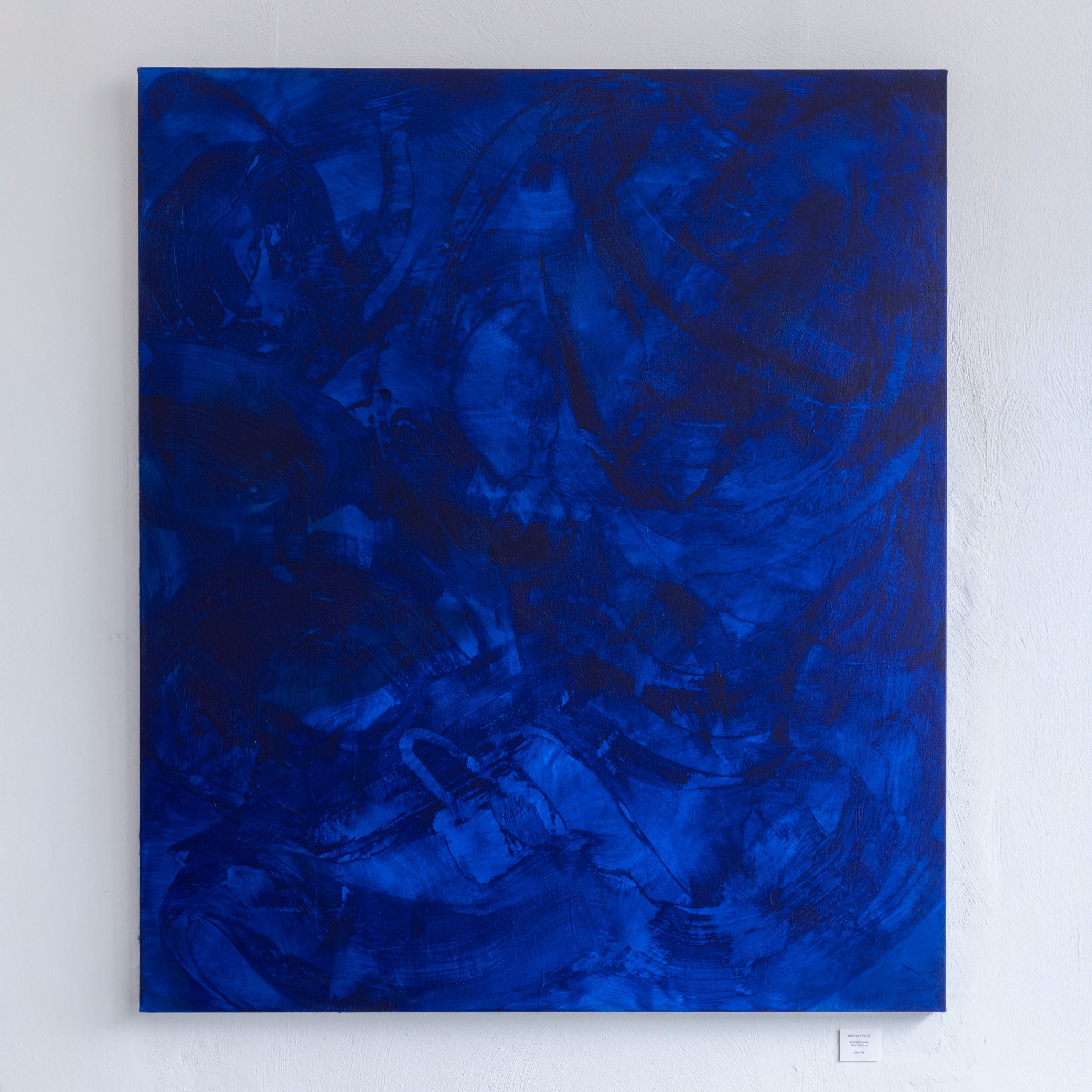 Midnight Pulse Preview 1 018A8142.jpg