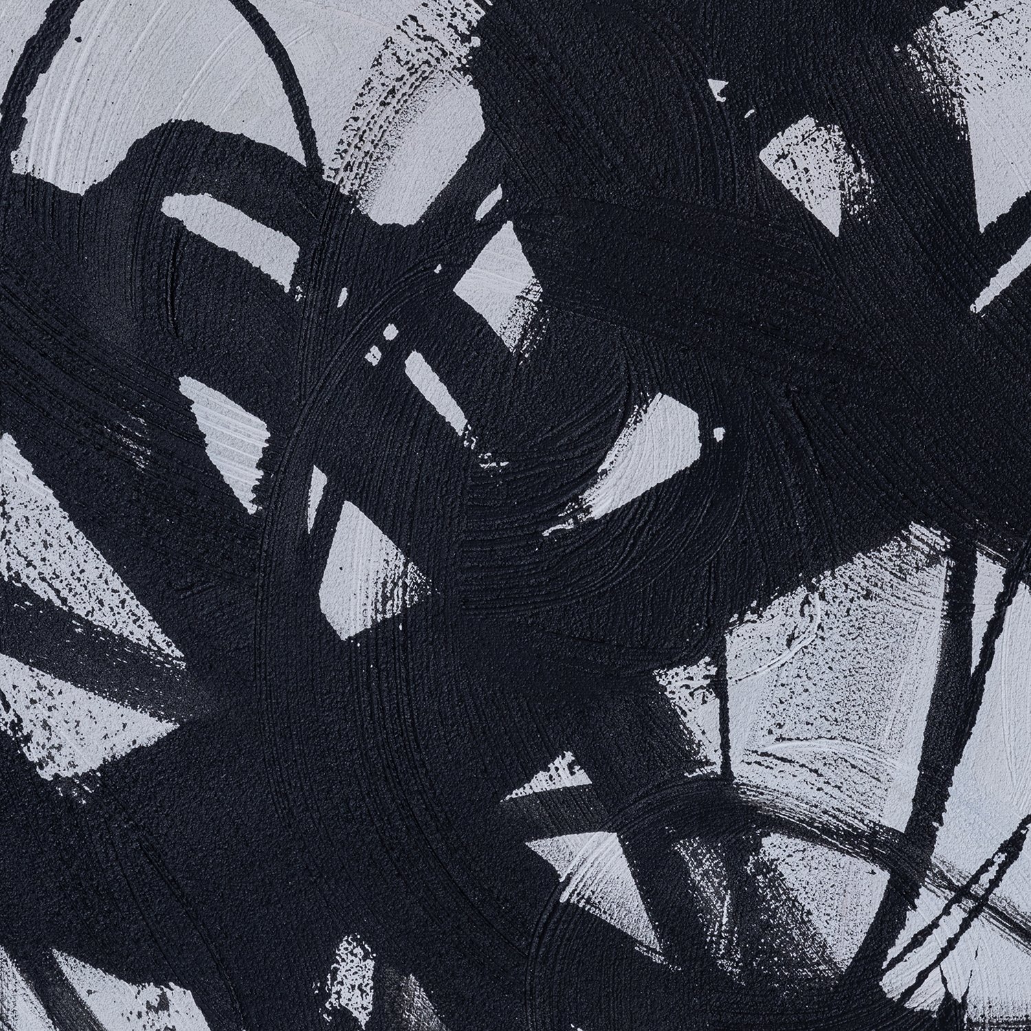 Black Strokes Detail 018A8156.jpg
