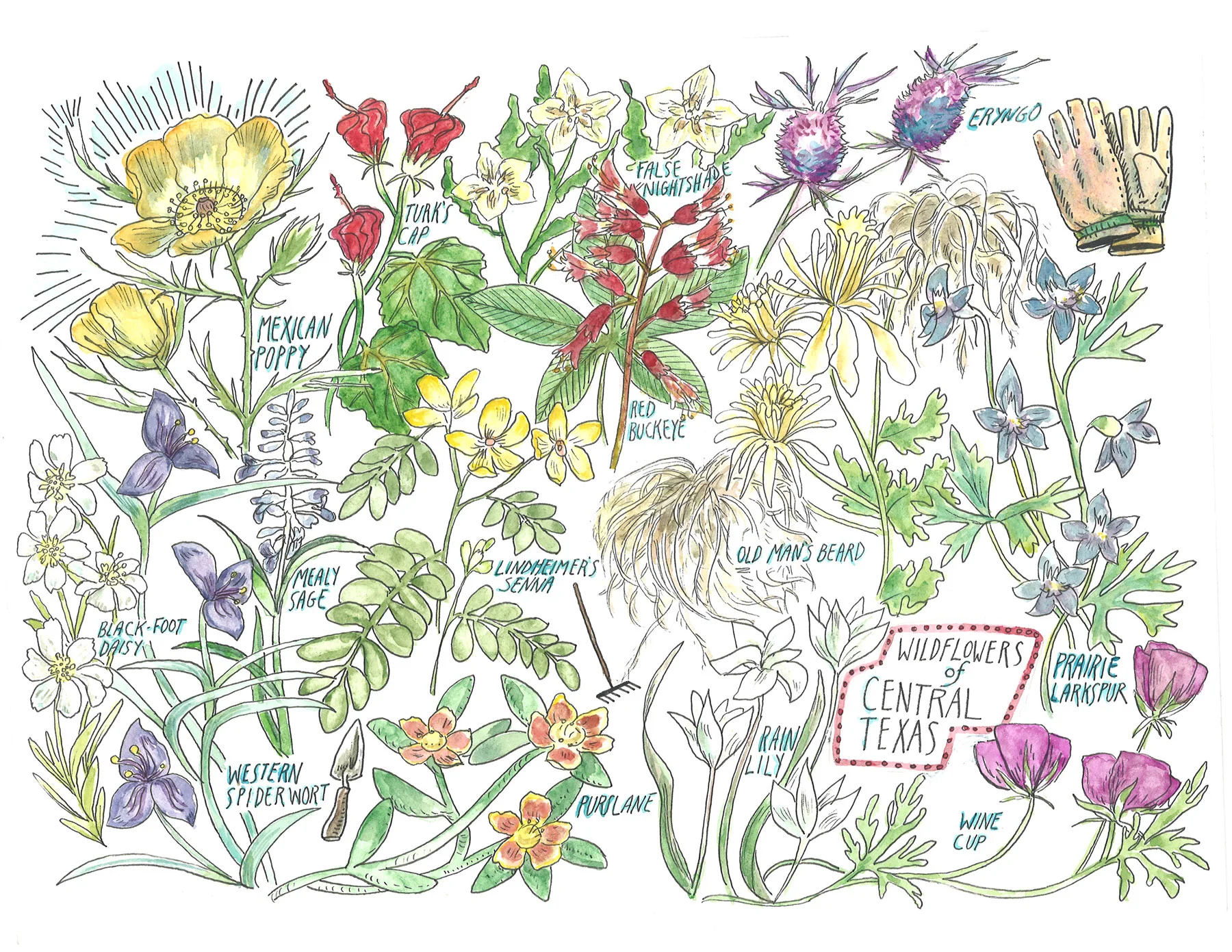 Print-Wildflowers-web.jpg