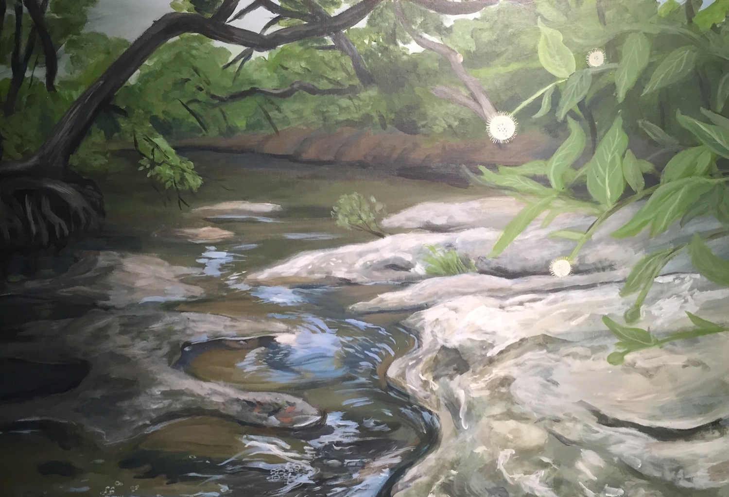 Onion Creek