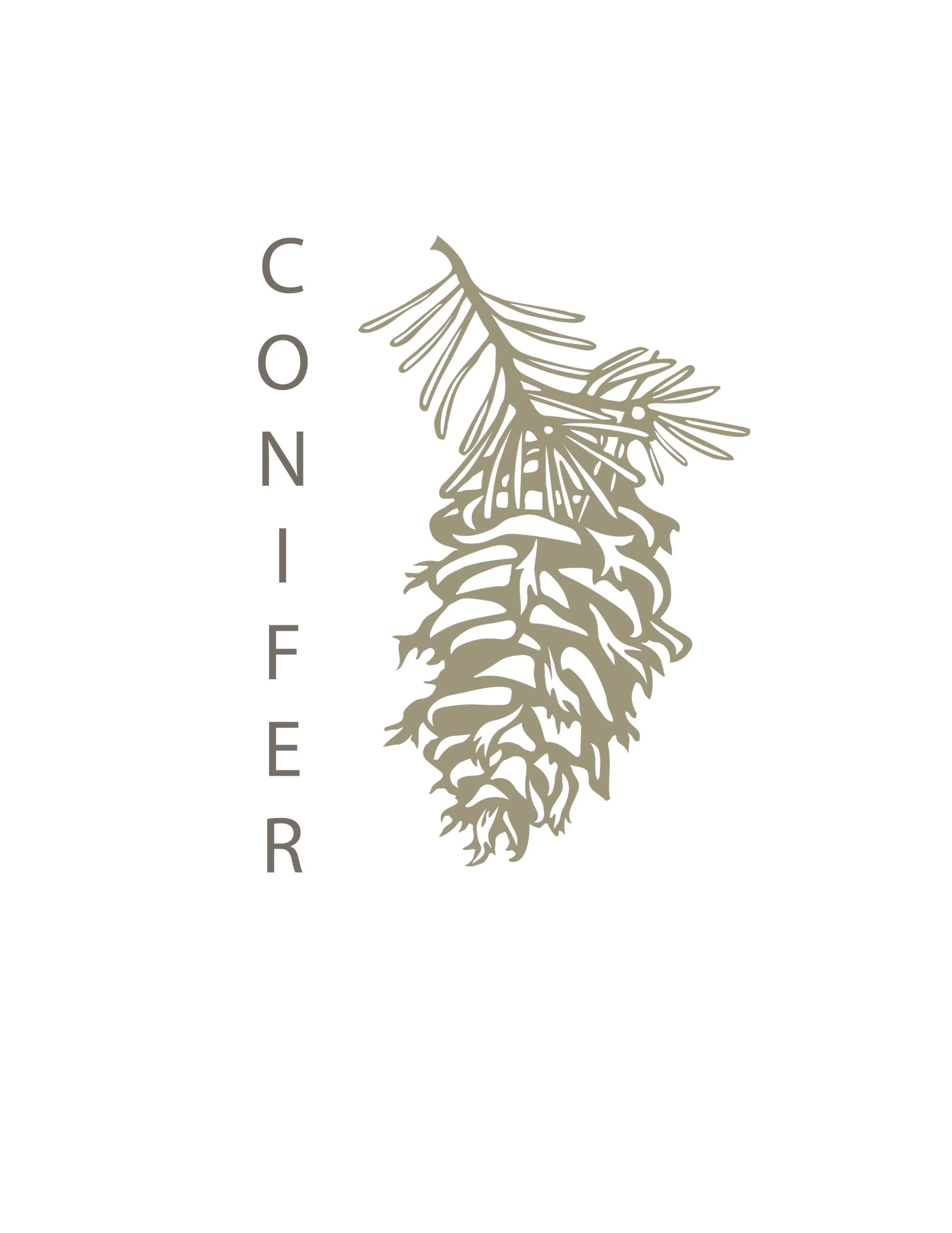 Conifer 01 Artboard 1.jpeg