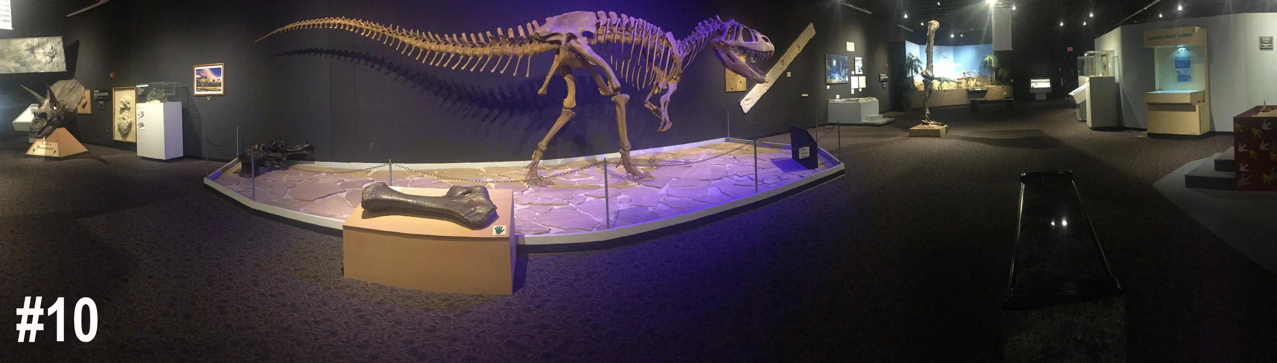 #10. I saw a billboard for a dinosaur museum in New Mexico , so, naturally, I stopped to explore. 