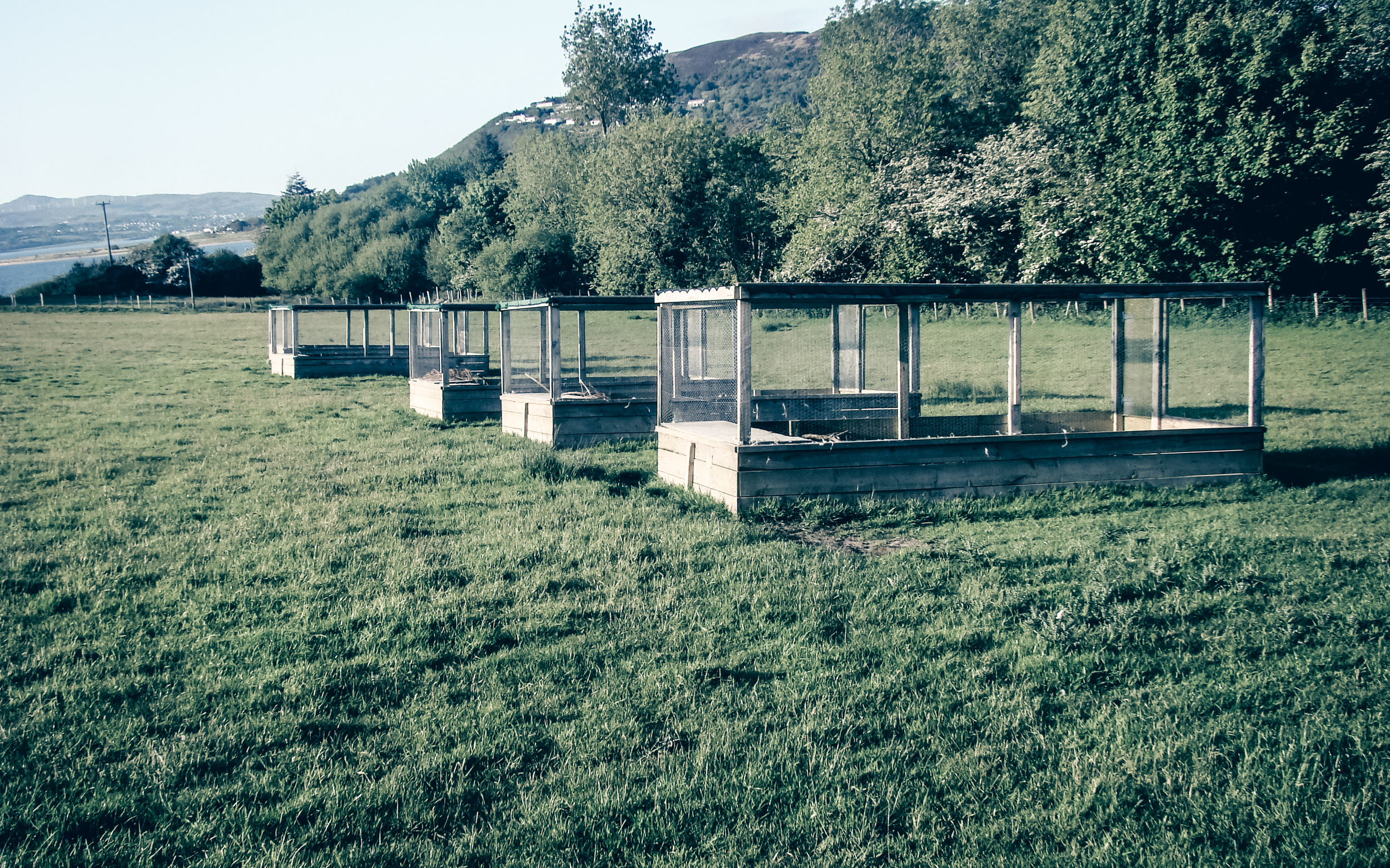 Captive Breeding Partridge pens.jpg