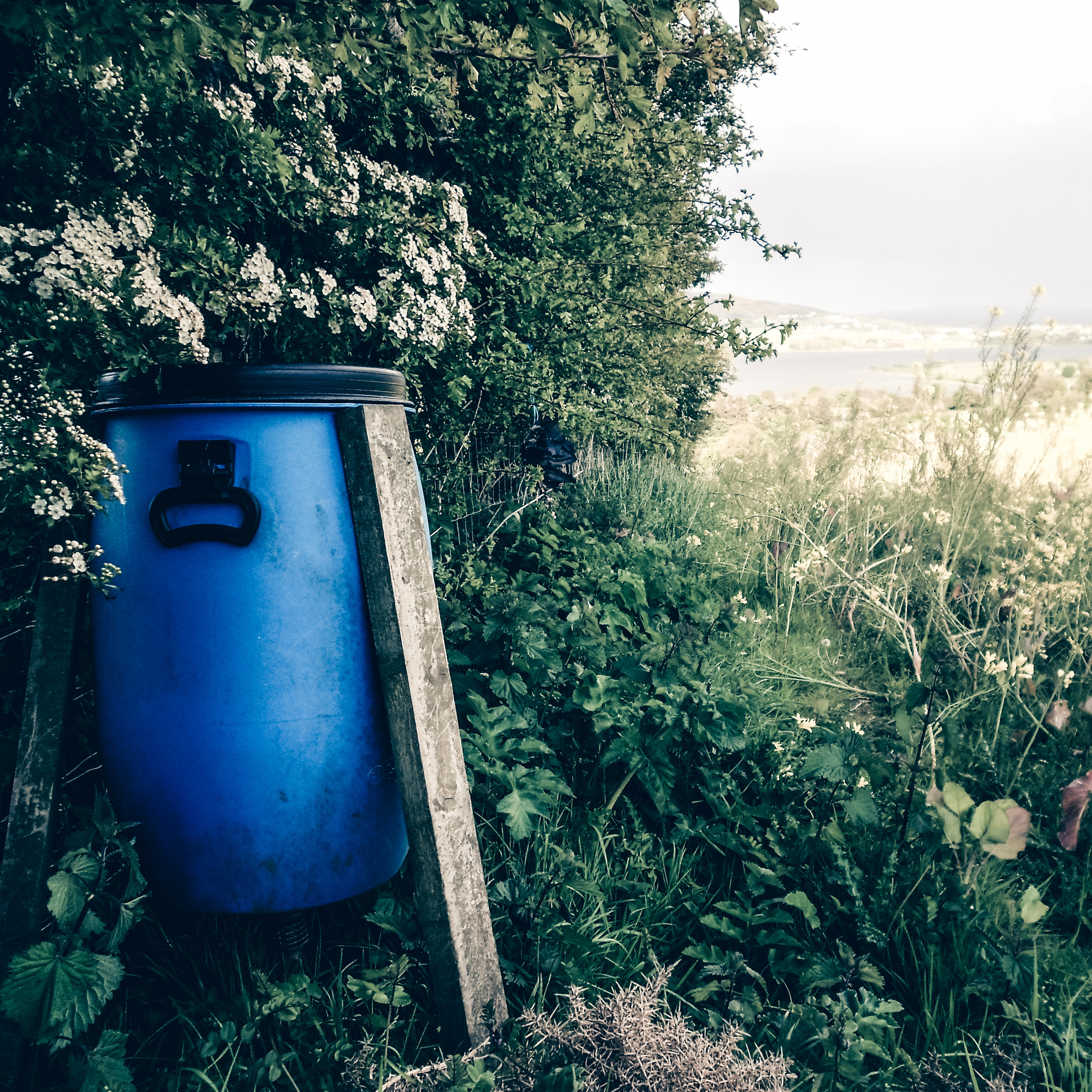 Feeder in situ in Game crop-2.jpg