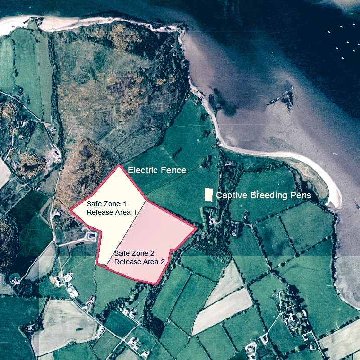 Inch Island Partridge project components map croped.jpg