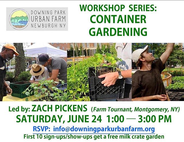 Come to the Farm this Saturday! 207 Carpenter Ave at Elm St
