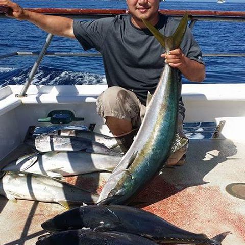 # limits tunas#yellows# Choicecustomtackle