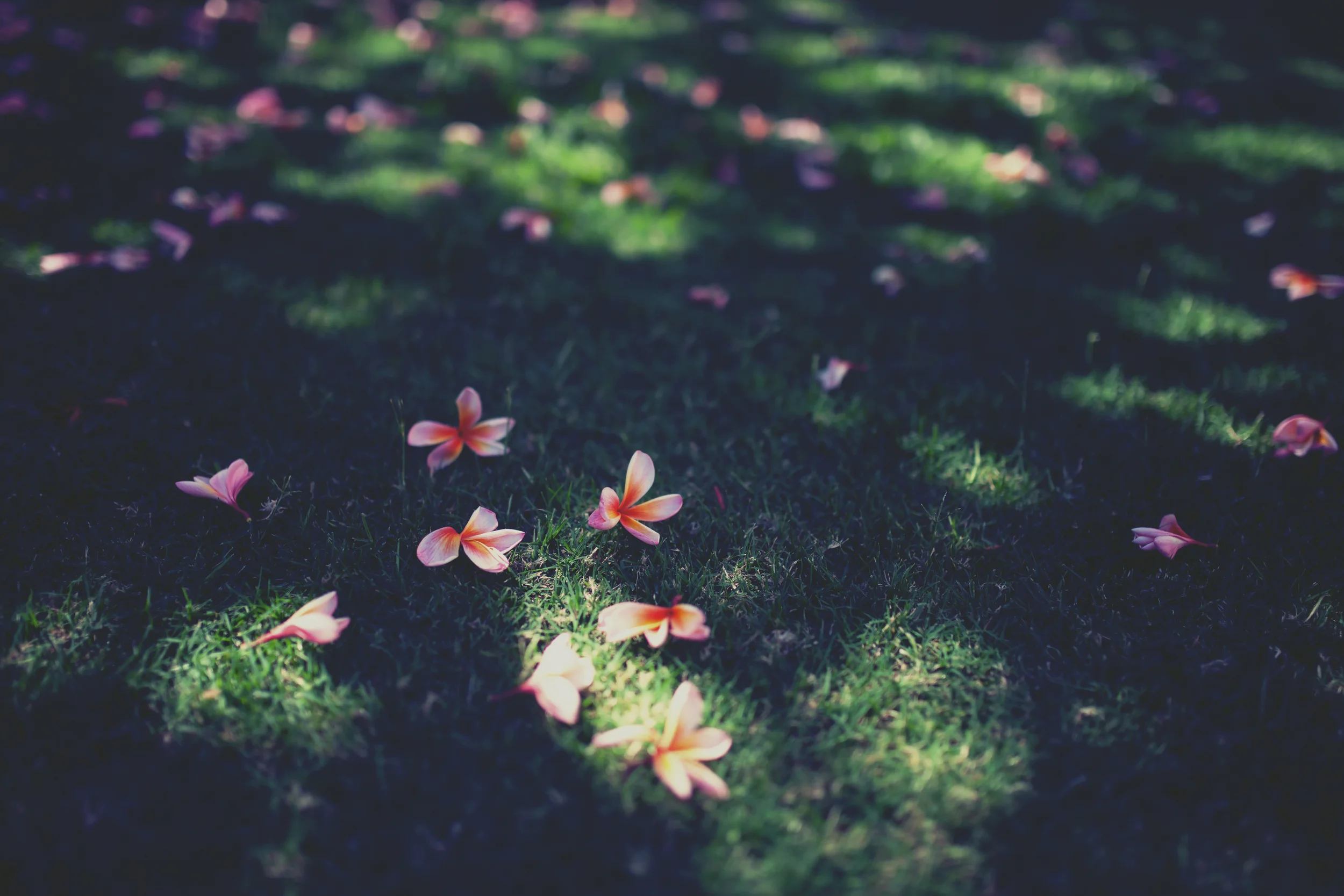 retro-photoset-55.jpg