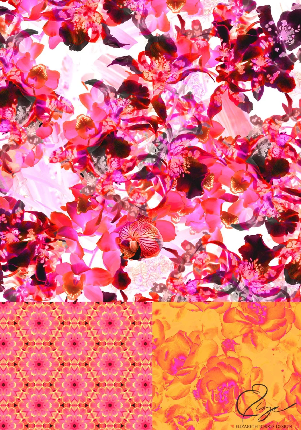 ELIZABETH_TORRES_1 new.jpeg