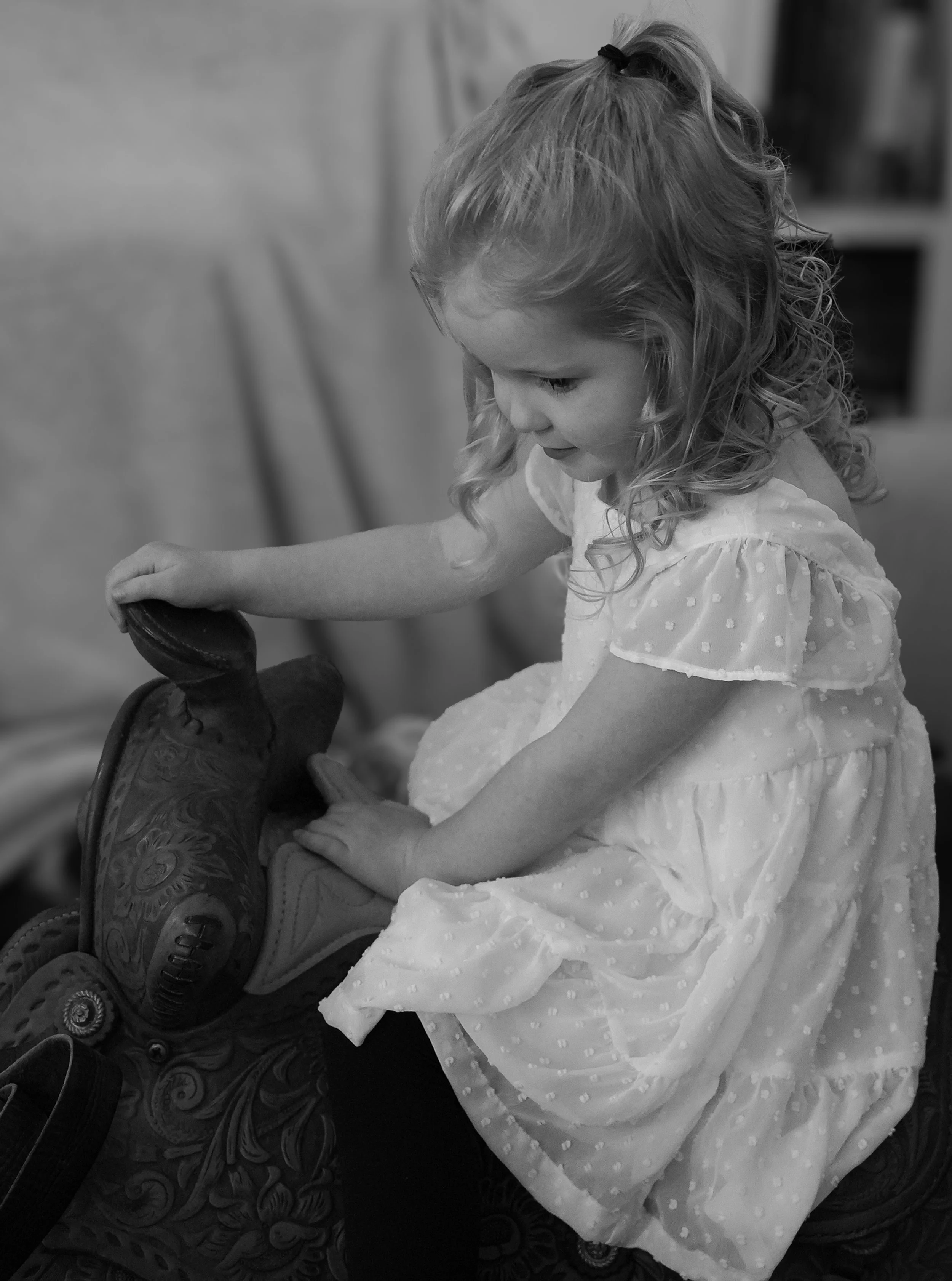 DSC08259-2.jpg