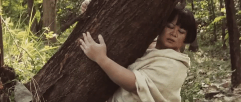 giphy (3).gif