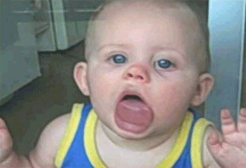 giphy (2).gif